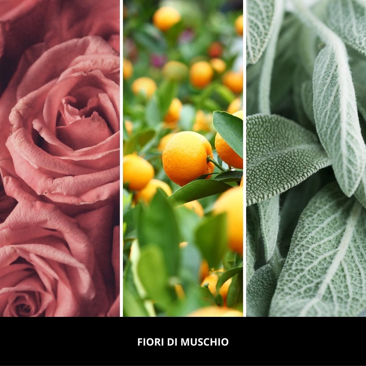 MM LED-uzupełniacz FIOR DI MUSCHIO