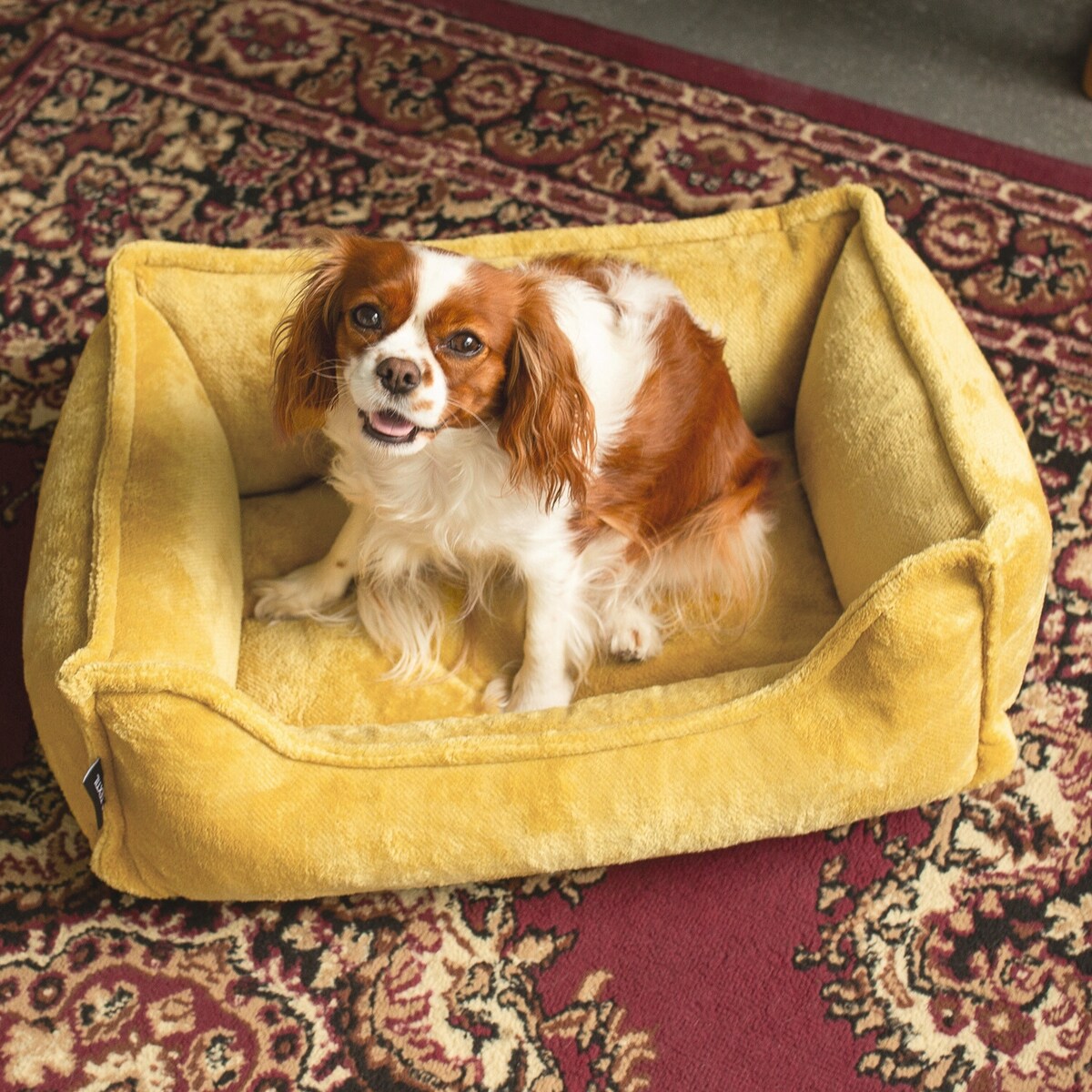 Ortopedyczne legowisko dla psa IRIS, 60x40 cm, Żółty