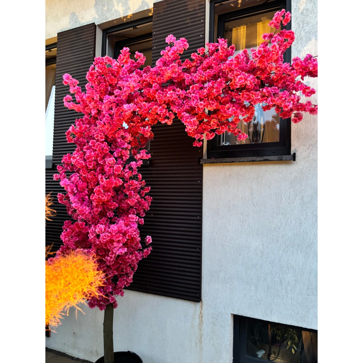 Drzewo wiśnia fuksjowa boczna na naturalnym pniu 220 cm