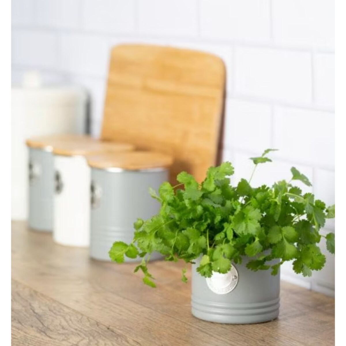 Osłonka na doniczkę na zioła szara Living, 11 x 9 cm, Typhoon