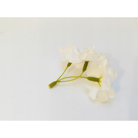 KWIATY WIŚNI MYDLANE DROBNE BIAŁE gałązki do bukietu box kompozycji stroik