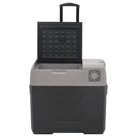 vidaXL Lodówka na kółkach, z zasilaczem, czarno-szara, 40 L, PP