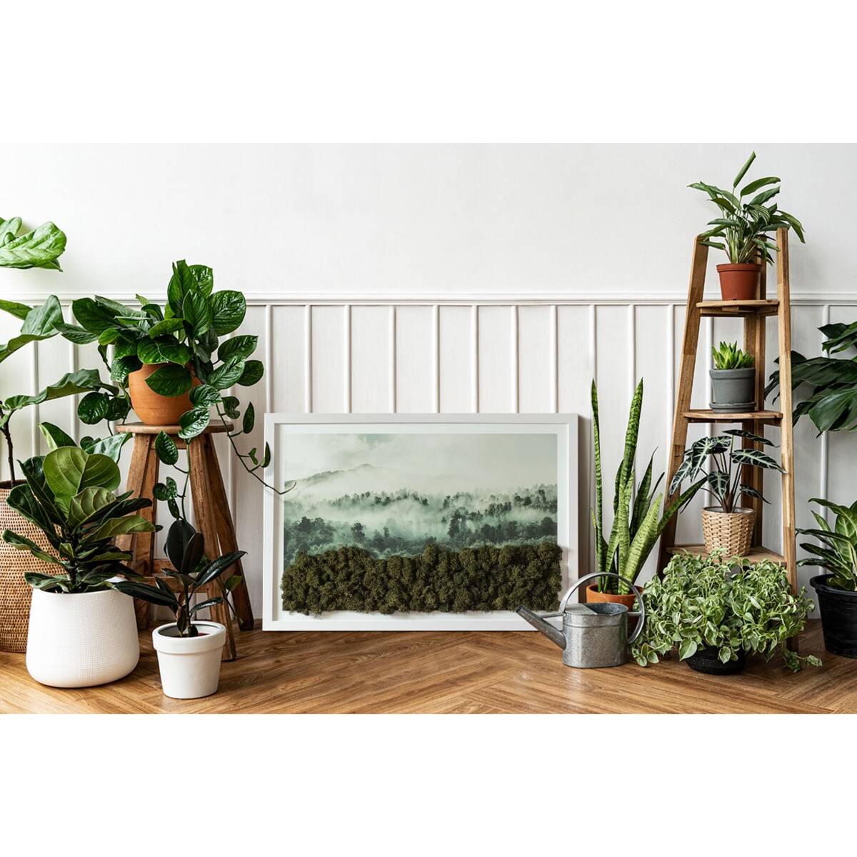 Obraz Las we mgle - mech chrobotek w białej ramie 60x40cm