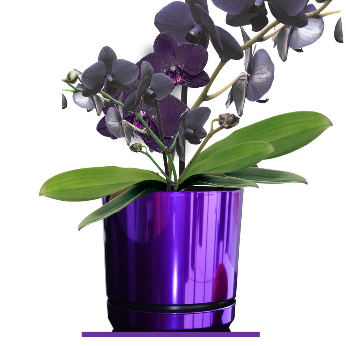 14 cm wzór FIOLETOWY BŁYSZCZĄCY Doniczka z podstawką glamour wysoki połysk metaliczny wrzosy lawenda krokusy storczyk orchidea