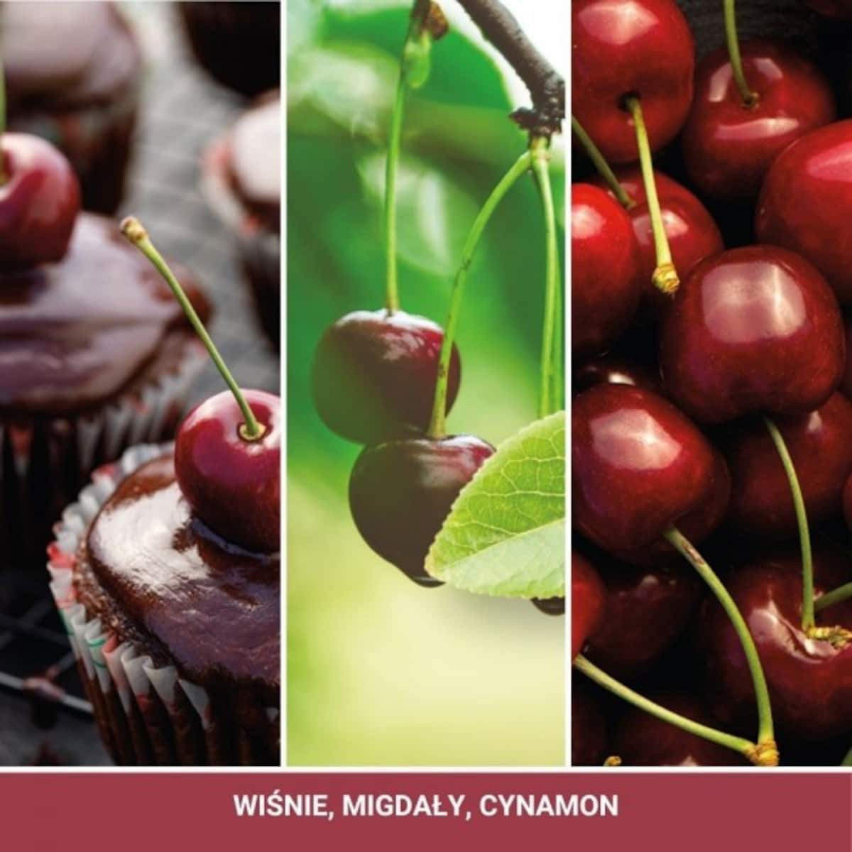 BLACK CHERRY Elektryczny odświeżacz - zestaw startowy