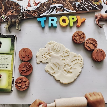 Drewniane stemple tropy leśnych zwierząt