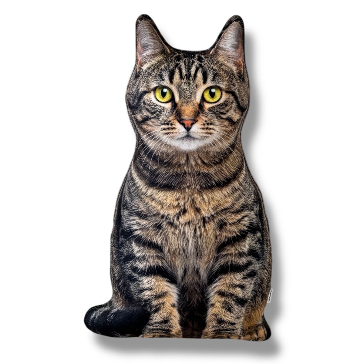 Poduszka Kot domowy pręgowany dachowiec tabby