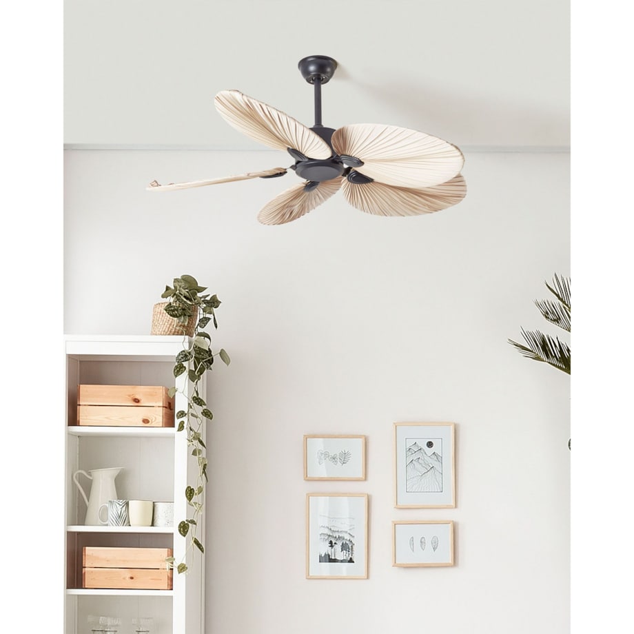 Wentylator sufitowy czarny z naturalnym MAMMOTH