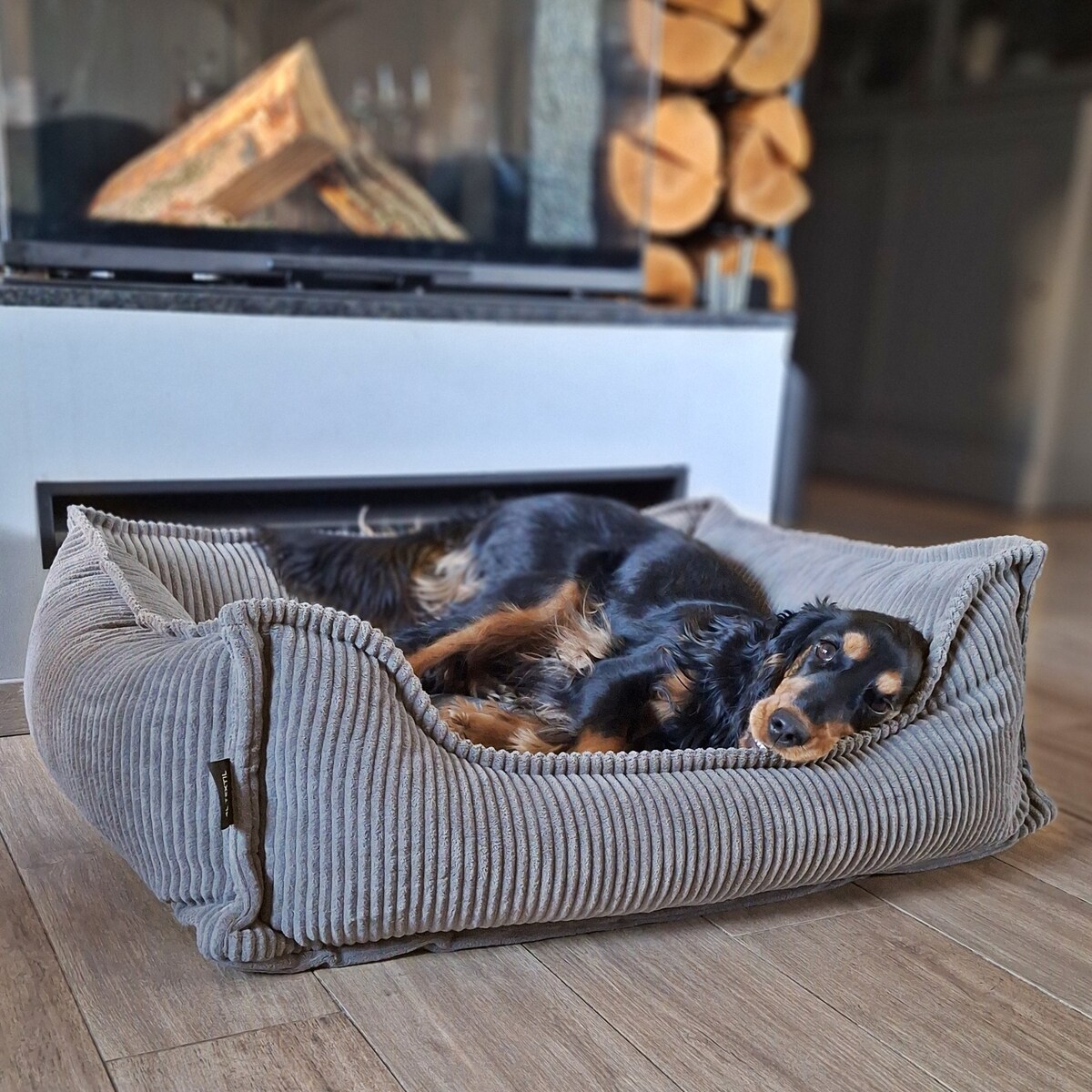 Ortopedyczne sztruksowe legowisko dla psa HUGO, 60x40 cm, Grafit