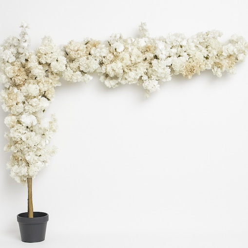 Instalacja z kwiatów białych i beżowych 220cm x 270cm