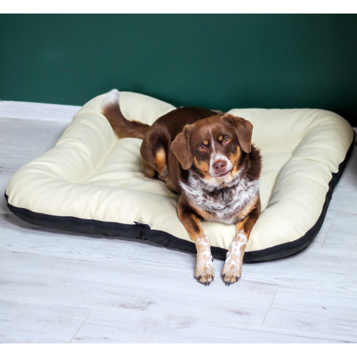 Legowisko Ponton dla psa z eko skóry ELLA, 130x110 cm, Cappuccino