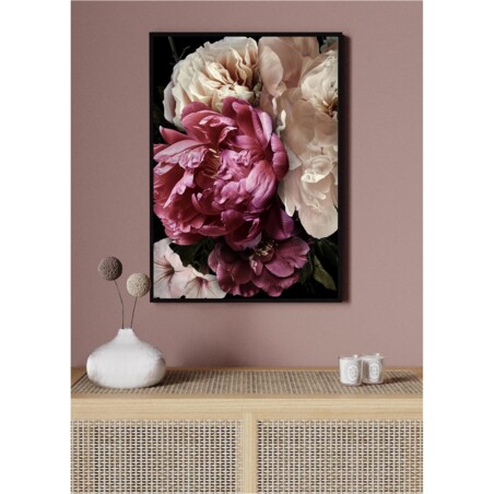 Poster Story, Plakat, Obraz - Rubinowa i Biała Piwonia No1, wymiary 50 x 70 cm