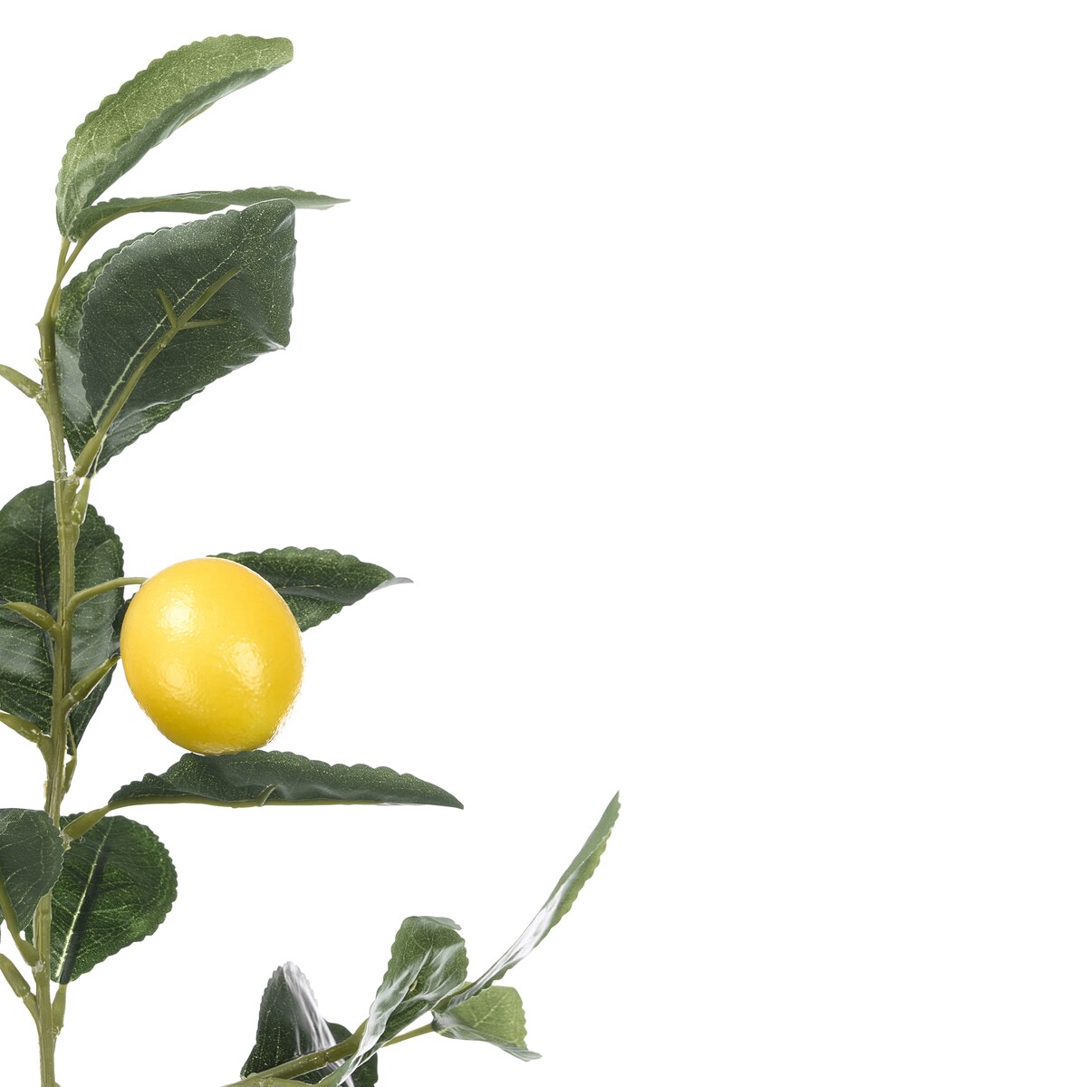 Dekoracyjne drzewko cytrynowe, 58 cm