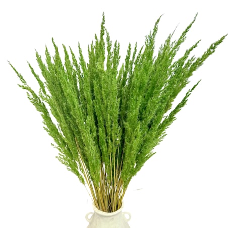 Suszona trawa leśna zielona