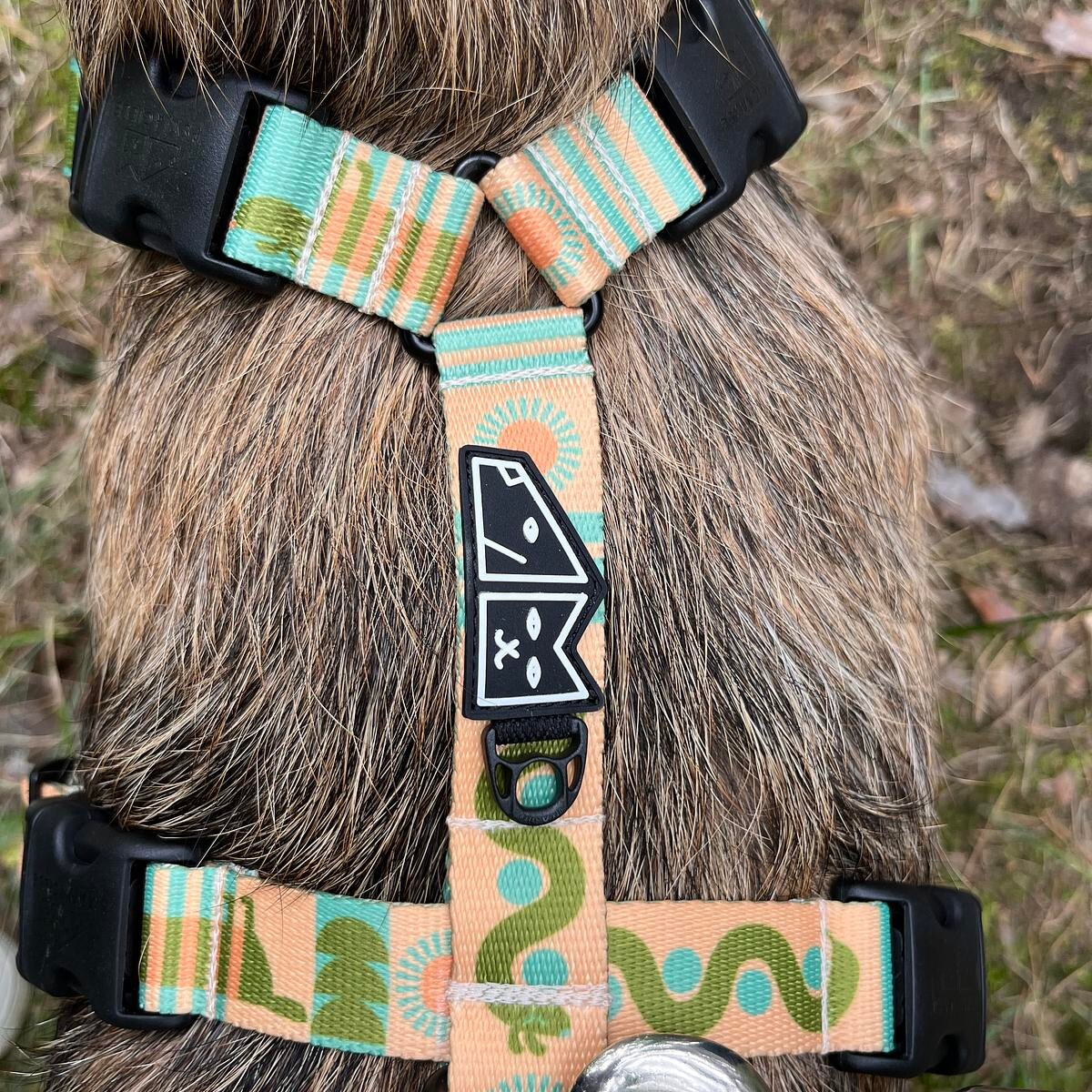 Szelki guard Stay on "Piesss" - Szerokość taśmy: 25mm, Rozmiar: XL