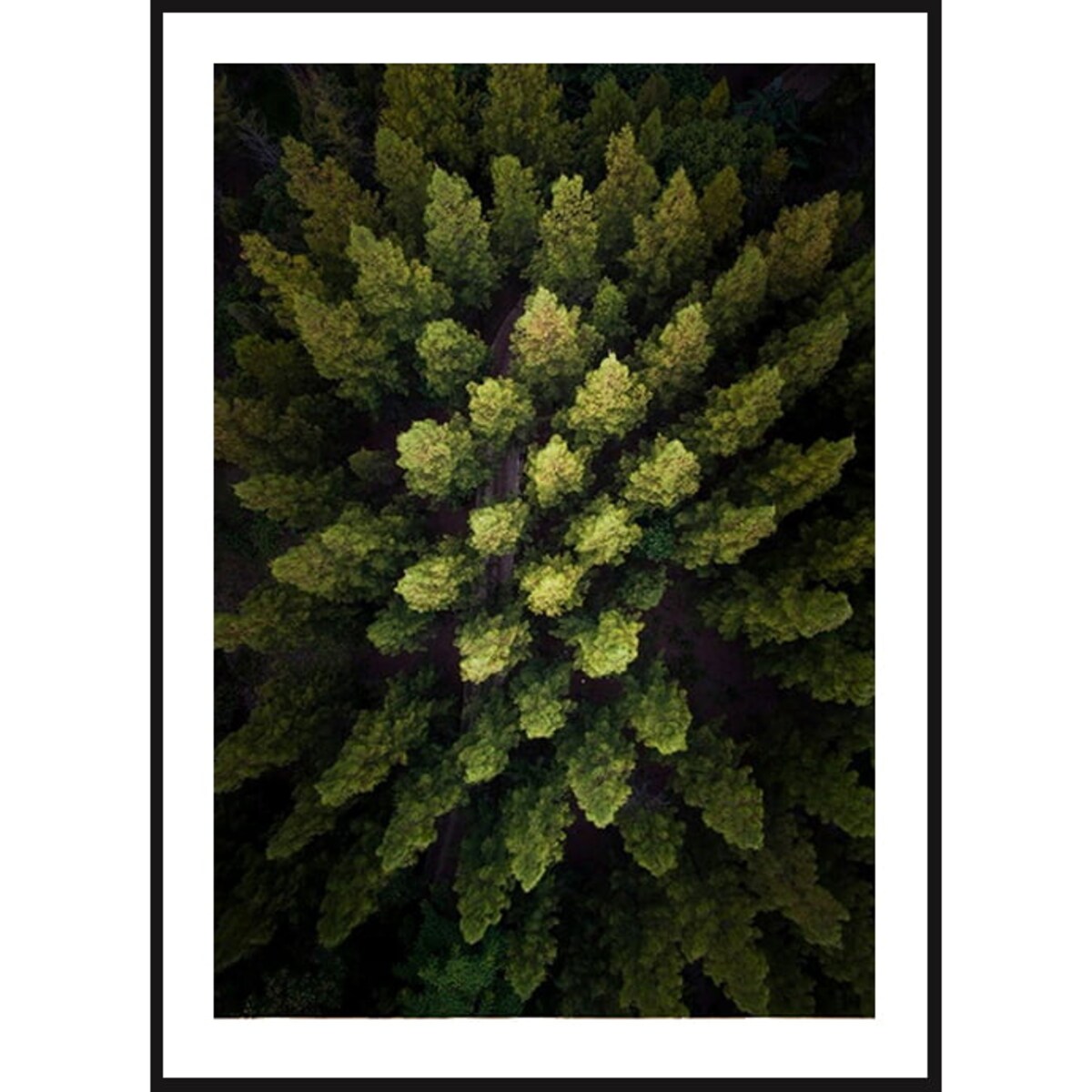 Poster Story, Plakat, Obraz - Wiosenny Las, wymiary 60 x 84 cm