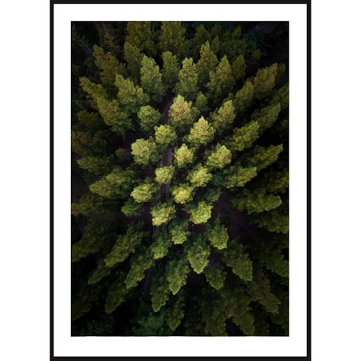 Poster Story, Plakat, Obraz - Wiosenny Las, wymiary 60 x 84 cm