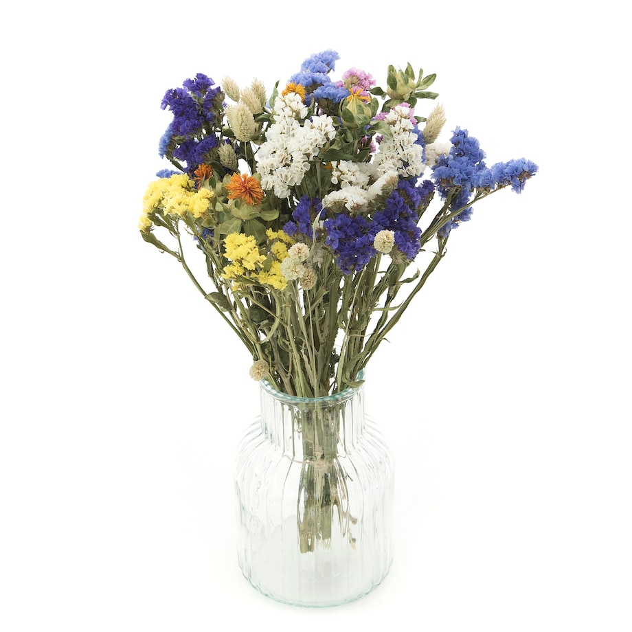 Zestaw Suszonyuch Kwiatów Meadow