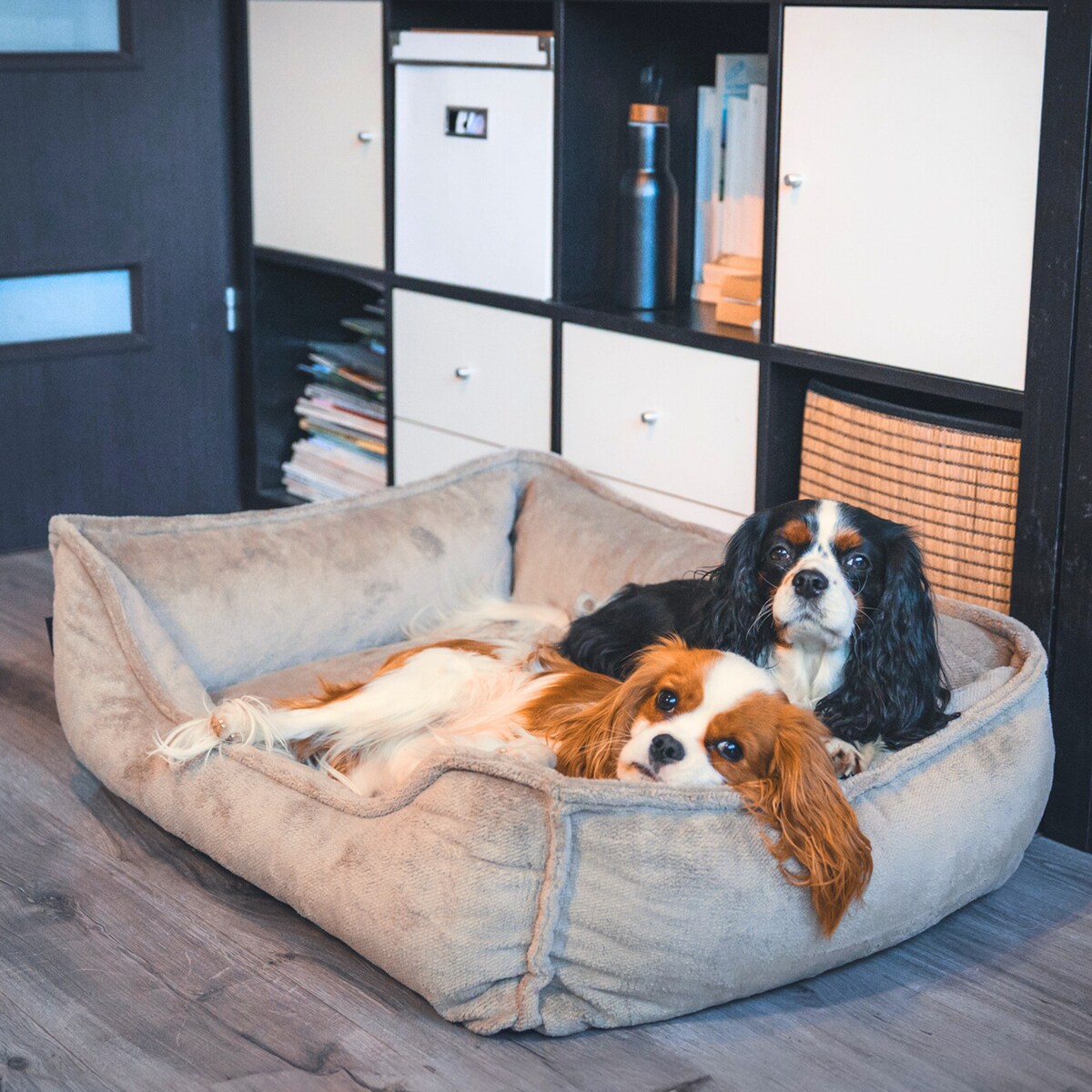 Ortopedyczne legowisko dla psa IRIS, 100x80 cm, Brąz