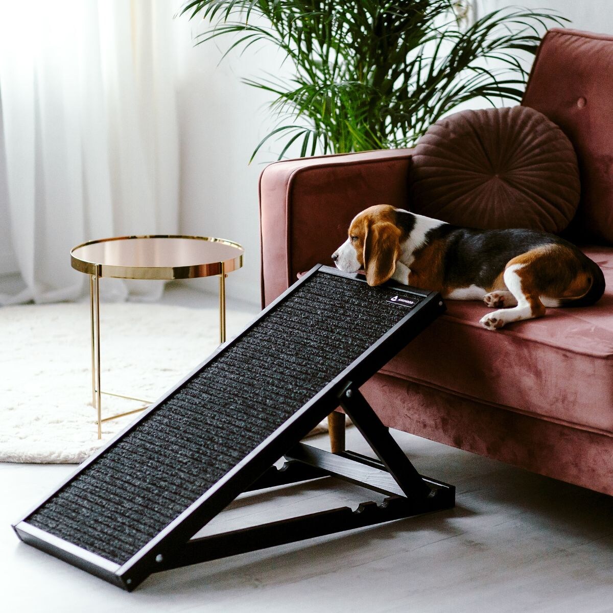 Animood Rampa dla psów Skipper rozmiar: uniwersalny, kolor: czarny