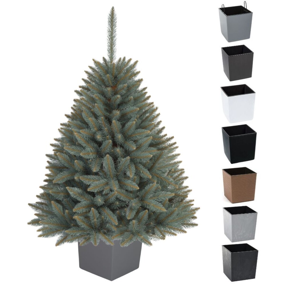 Choinka Premium Świerk SREBRNY w Kwadratowej Donicy 110 cm X-Choinka 7 kolorów donicy