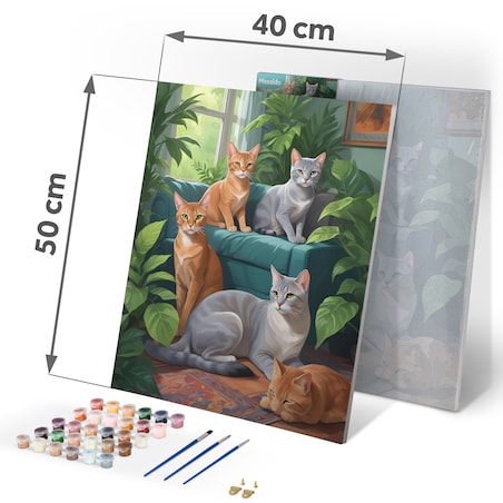 Malowanie po numerach obraz z ramą 40x50 Koty Massido