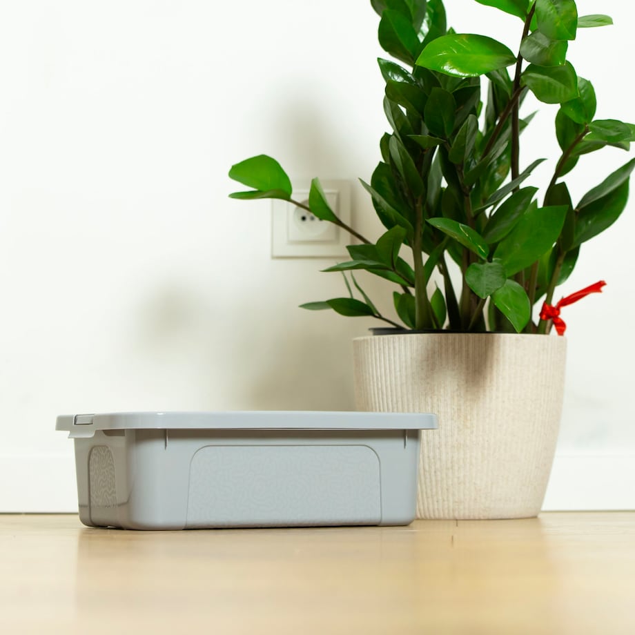 Pojemnik Plastikowy Z Pokrywą Zamykany Pudełko Box Przezroczysty 4,5 L