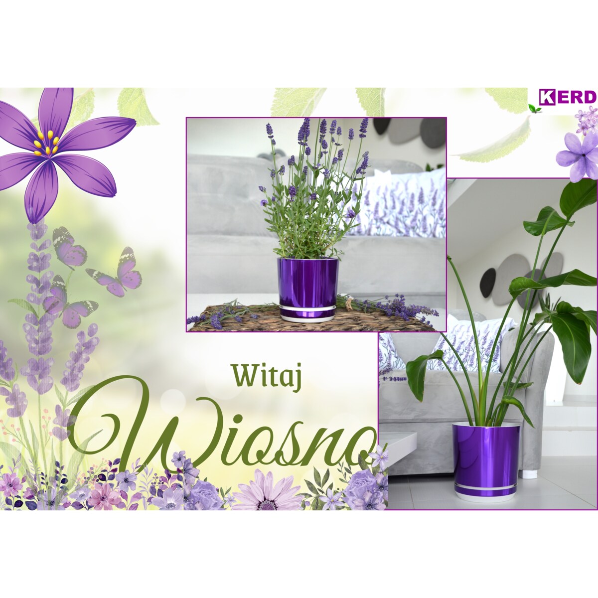 21 cm wzór FIOLETOWA LAWENDA Doniczka z podstawką wysoki połysk metaliczna wrzosy krokusy storczyk orchidea