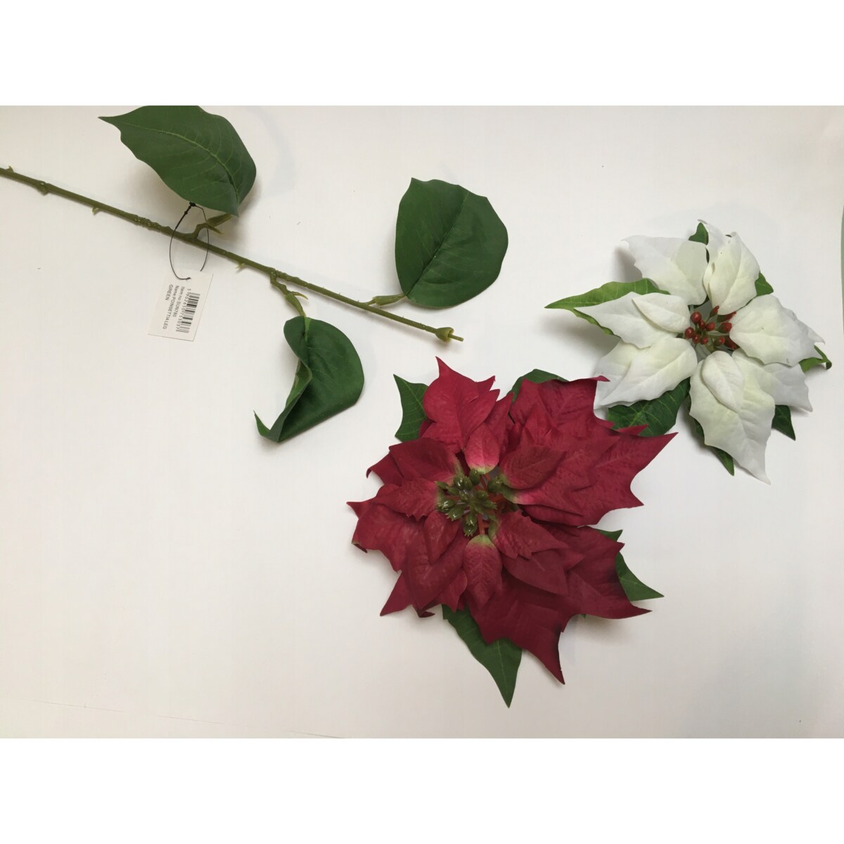 GWIAZDA KWIAT poinsecja BETLEJEMSKA BIAŁA jak żywa na bukiet stroik wianek