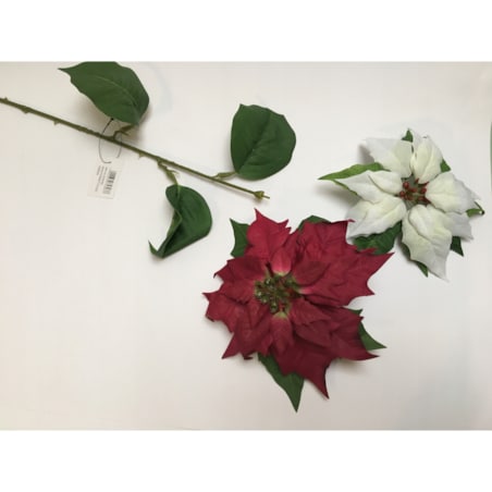 GWIAZDA KWIAT poinsecja BETLEJEMSKA BIAŁA jak żywa na bukiet stroik wianek