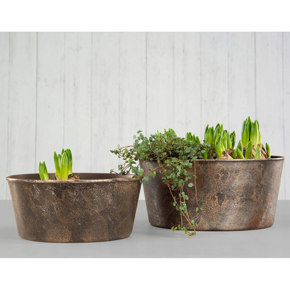OSŁONKA NA DONICZKĘ NA BONSAI BALKON TARAS PARAPET KWIATY 30cm DO OGRODU