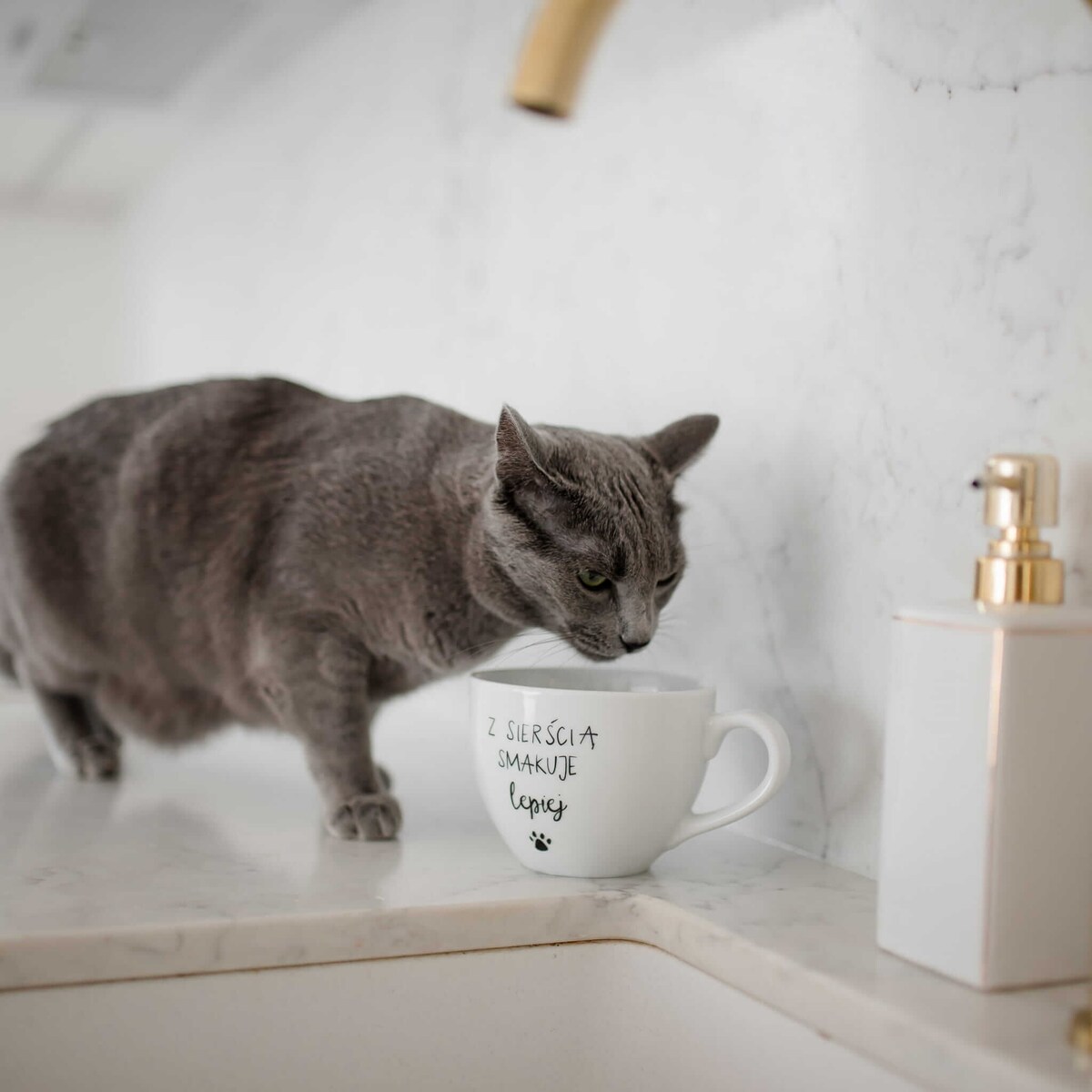 Biały kubek porcelanowy 500 ml - Z sierścią smakuje lepiej na dzień zwierząt dla miłośników psów i kotów