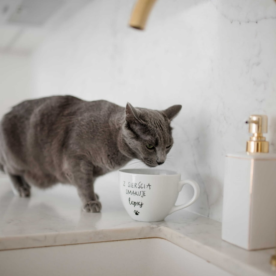 Biały kubek porcelanowy 500 ml - Z sierścią smakuje lepiej na dzień zwierząt dla miłośników psów i kotów