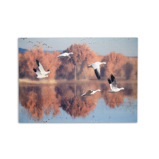 Konsimo IMAGOS Obraz czaple, pomarańczowy/błękitny/biały