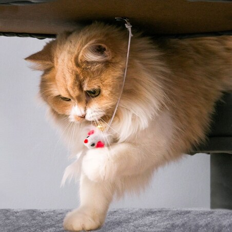 DRAPAK DLA KOTÓW SZARY 322137 XL