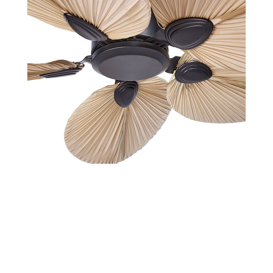 Wentylator sufitowy czarny z naturalnym MAMMOTH