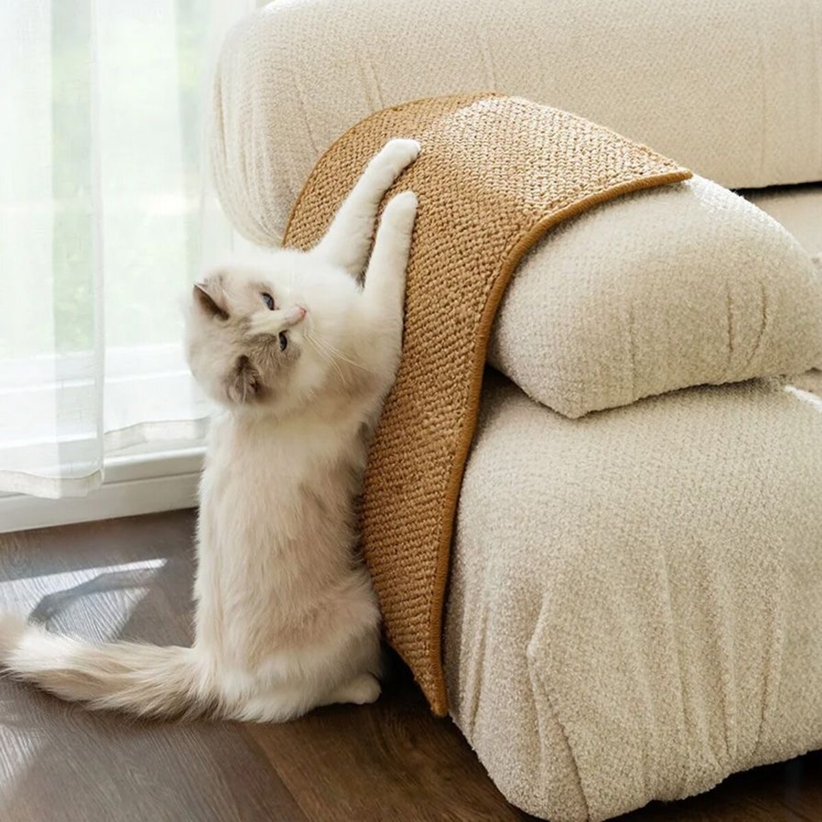 DRAPAK MATA DLA KOTA 60x40cm 332494