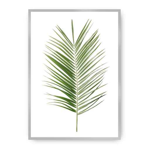 Plakat Palm Leaf Green, 21 x 30 cm, Ramka: Srebrna