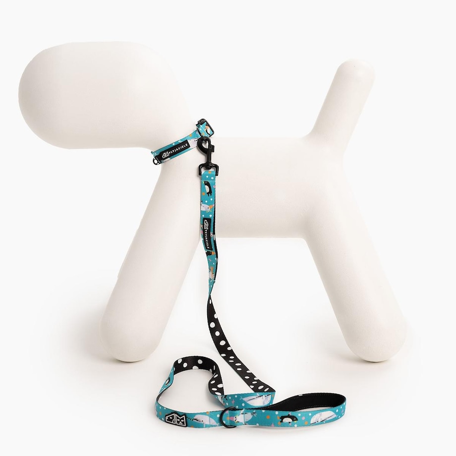 Obroża dla psa lub kota "Łot de fok?" - Szerokość taśmy: 25mm, Rozmiar: S