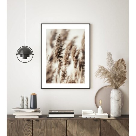 Poster Story, Plakat, Obraz - Brązowe Trzciny, wymiary 70 x 100 cm