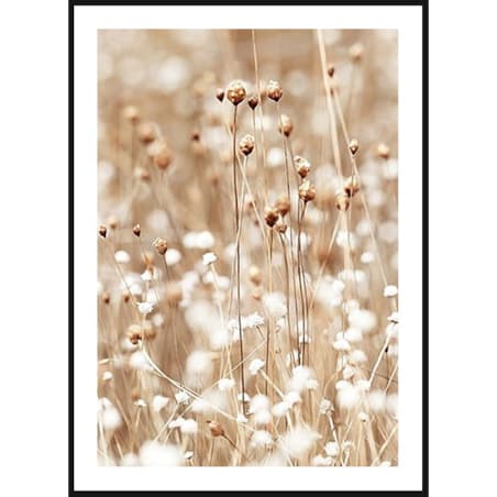 Poster Story, Plakat, Obraz - Naturalna Polna Trawa, wymiary 30 x 42 cm