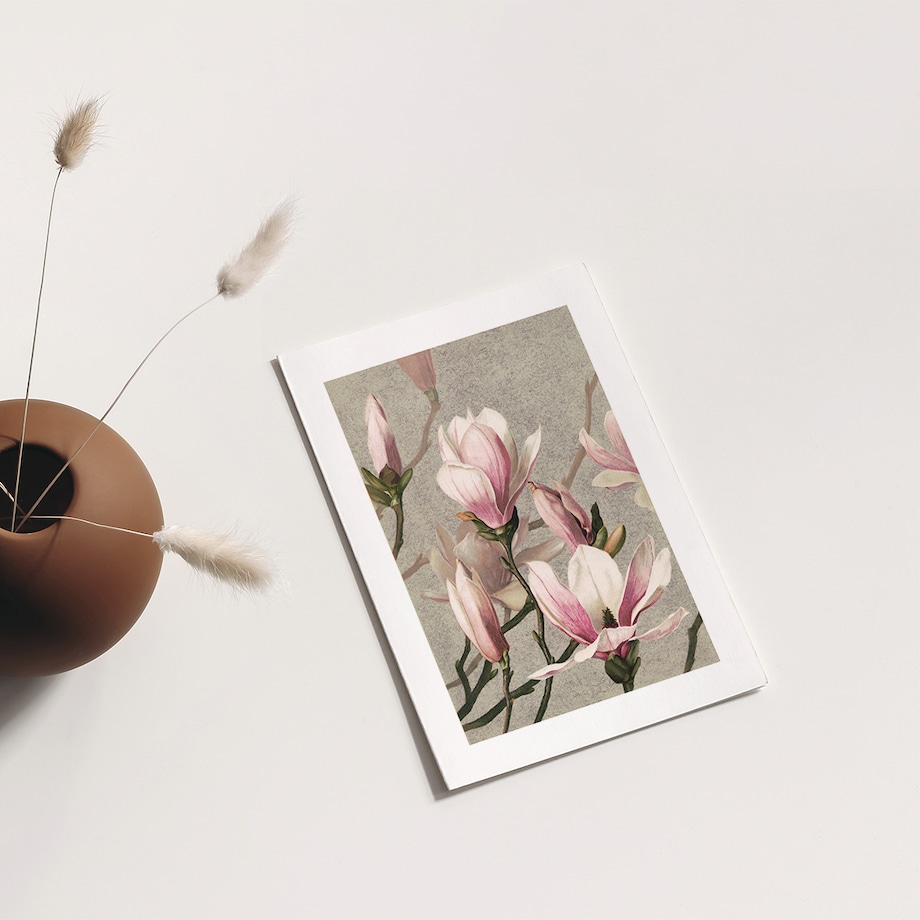 Plakat Magnolia 30x40cm