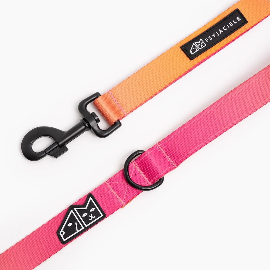 Smycz miejska dla psa lub kota "Under my ombrella" POMARAŃCZ - Szerokość taśmy: 25mm, Rozmiar: L oraz Rodzaj: Mały karabinek