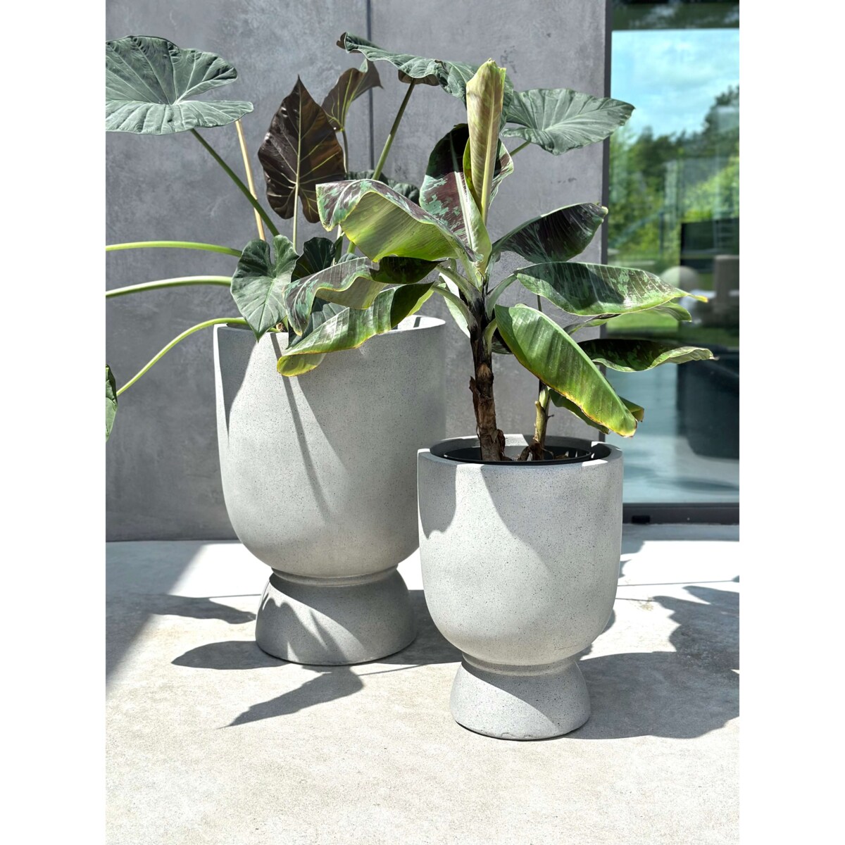 DONICZKA ODESSE LUXE S