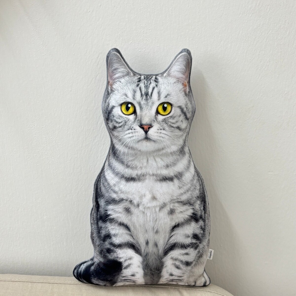 Poduszka dekoracyjna Kot domowy pręgowany srebrzysty jasny szary