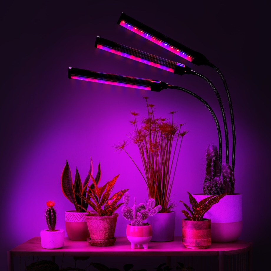 Lampa Led Do Wzrostu Roślin 72 Diod Timer 25 W Uprawa Roślin Do Domu Bez Zasilacza Sieciowego