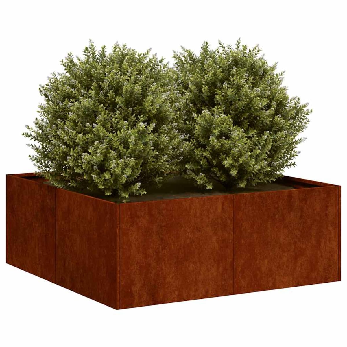 vidaXL Doniczka Rusty 80x80x30 cm Stal nierdzewna