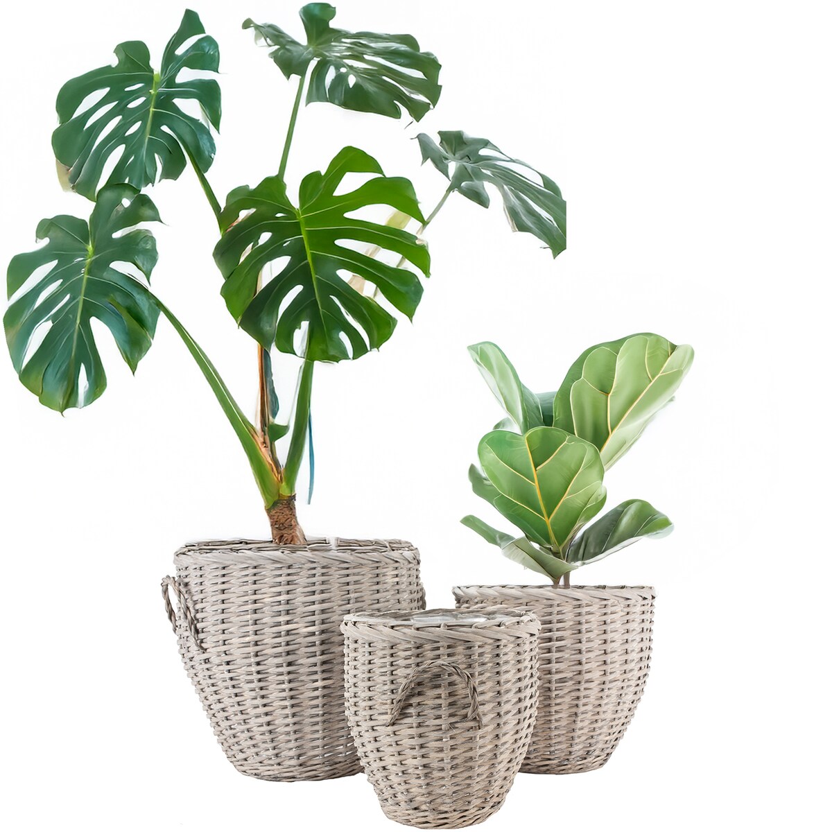 OSŁONKA NA DONICZKĘ WIKLINOWA KOSZ DUŻA 3 szt. do palmy salonu ogrodu domu