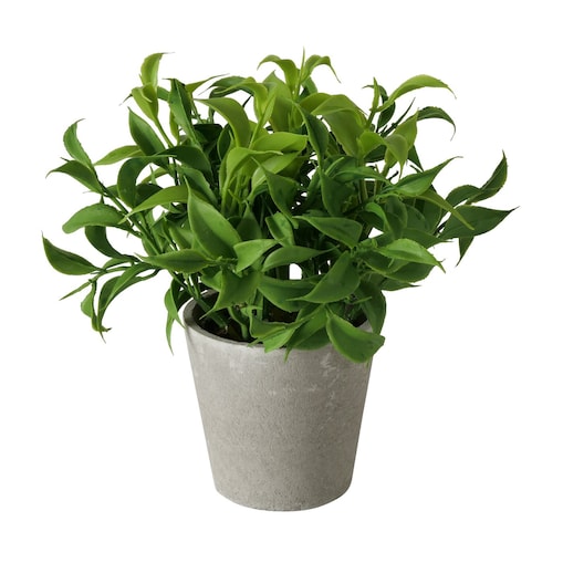 Sztuczna roślina w cementowej doniczce FERN, 17 cm