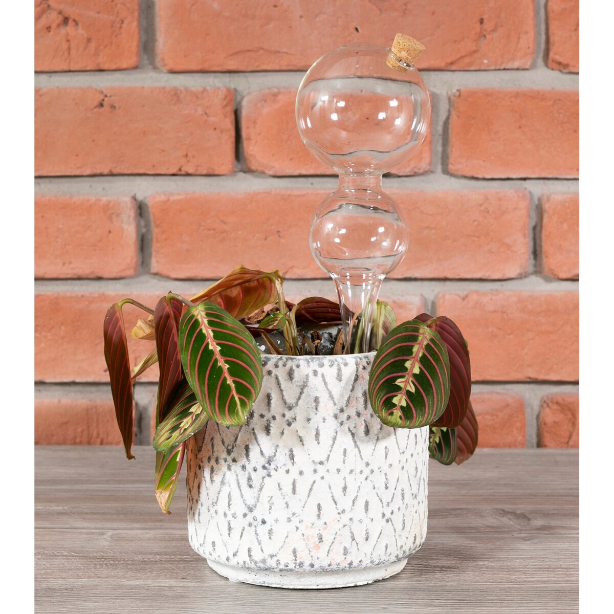 KULA NAWADNIAJĄCA do roślin kwiatów SZKLANA nawadniacz do doniczek 400ml